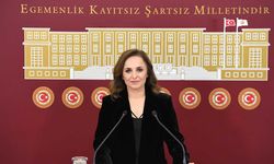 HEDEP Sözcüsü Ayşegül Doğan: HEDEP'in kısaltması HEDEP olmayacak