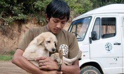 Bhutan'da bütün köpekler kısırlaştırıldı