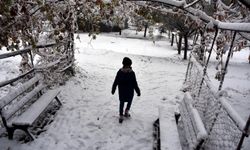 Bitlis bembeyaz: Kar kalınlığı 30 santimetreye ulaştı