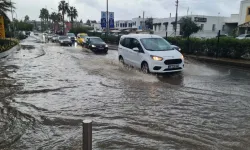 Bodrum'da kuvvetli rüzgarın ardından sahilde temizlik çalışması yapıldı