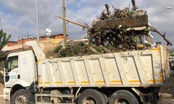 Aydın'da evden 16 kamyon çöp çıktı