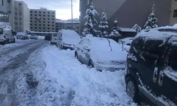 Doğu'da yoğun kar yağışı: 1205 yerleşim yerine ulaşım sağlanamıyor