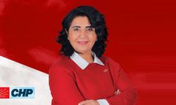 Hacer Taş Gültepe kimdir?