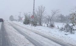 Yoğun kar ve tipiden bazı kara yolları ulaşıma kapatıldı