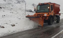 Van'da kasım ayında kar 20 santimetreye ulaştı