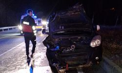 Bayburt'ta ayıya çarpan araçtaki 6 kişi yaralandı