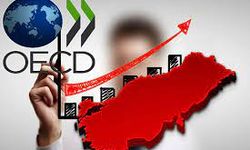 OECD 2023 Türkiye için büyüme beklentisini artırdı