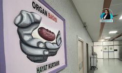 Organ bağışında Avrupa’nın gerisindeyiz: Türkiye’de 26 bin 894 hasta umutla organ bekliyor