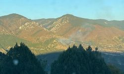 Sinop'ta orman yangını: Bir hektarlık alan zarar gördü