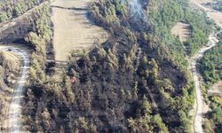 Orman Genel Müdürü Karacabey: Çanakkale'deki orman yangını 700 hektarlık alanı etkiledi