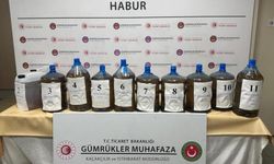 Şırnak'ta bir tırda 216 kilogram sıvı uyuşturucu ele geçirildi