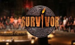 Survivor'da büyük kavga