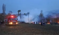 Tokat'ta çıkan yangında 50 koyun telef oldu