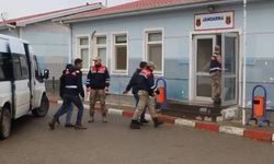 7 ilde göçmen kaçakçılığı operasyonu: 16 organizatör gözaltına alındı