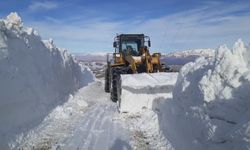 Hakkari'de kardan kapanan üs bölgelerinin yolu açıldı