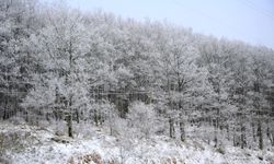 Trakya'da soğuk hava etkisini gösteriyor