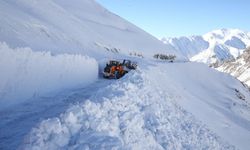Van, Muş ve Bitlis'te kar nedeniyle 357 yerleşim yerinin yolu kapandı