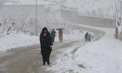 Hakkari'de 34 yerleşim yerinin yolu kardan kapandı