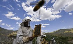 Arıcılık sektörü gelecek yıl arı ürünleri üretimine destek bekliyor
