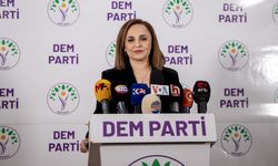 DEM Parti, Hakkari ve Mersin'de kayyuma karşı miting yapacak
