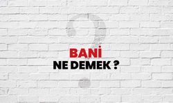 Banisi ne demek? Bani kelimesi TDK sözlük anlamı nedir?