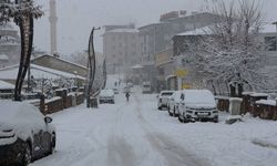Bingöl Karlıova’da kar nedeniyle kapanan 6 köy yolu ulaşıma açıldı