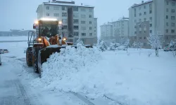 Bitlis'te 49 köy yolu kardan kapandı