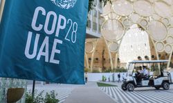 COP28 zirvesinde fosil yakıt şirketleri müzakereleri baskılamaya çalışıyor