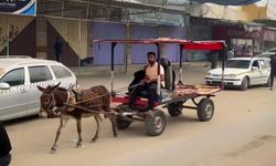 İsrail saldırıları nedeniyle Gazze'de başlıca ulaşım aracı at ve eşek arabaları oldu