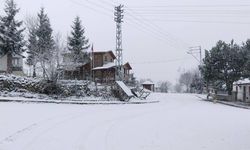 Ordu'da yüksek kesimler beyaza büründü