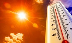 Tunus’un iç kesimlerinde sıcaklık 49 dereceyi aştı