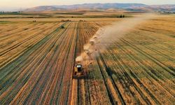 Lisanslı depolardaki tarımsal ürün destek ödemelerinde son başvuru 30 Haziran