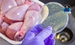 Yeni yıl sofralarının vazgeçilmezi tavuk ve hindi etinde salmonella riski