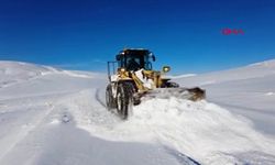 Van'da 451 yerleşim yerinin yolu kardan kapandı