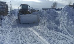 Van, Hakkari, Bitlis ve Muş'ta kar yağışı: 1144 yerleşim birimiyle ulaşım kapandı