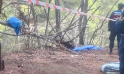 Afyonkarahisar'da kestiği ağacın altında kalan genç öldü