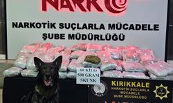 Kırıkkale'de tırın dorsesine gizlenmiş 60,5 kilogram skunk ele geçirildi