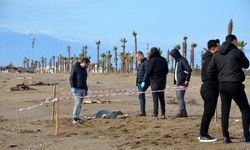 Antalya sahilinde 6 günde 8 ceset bulundu 