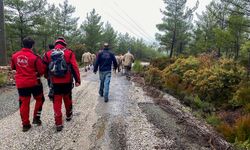 Mantar toplamaya gitti, 3 gündür haber alınamıyor