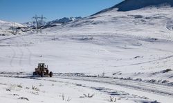 Van'da kardan kapanan 429 yerleşim yeri yolunun 228'i ulaşıma açıldı