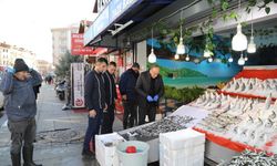 Ankara Çubuk'ta balıkçı esnafı denetlendi