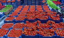 Ankara'da en çok domates tüketildi