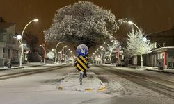 Türkiye'de en soğuk gece eksi 18,3 dereceyle Bolu'da kaydedildi