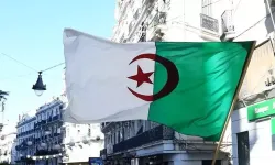 Cezayir'de 9 vilayette çıkan yangınları söndürme çalışmaları sürüyor