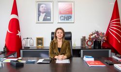 CHP Genel Başkan Yardımcısı Binici: Tüm seçmenleri seçmen listelerini kontrol etmeye çağırıyoruz