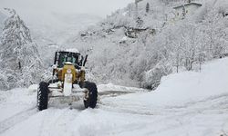 Erzurum'da 547 kırsal mahallenin yolu kardan kapandı