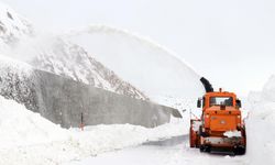 Giresun'da kar nedeniyle 13 yol ulaşıma kapandı