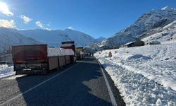 Hakkari-Şırnak kara yolu kar ve çığ riski nedeniyle kapatıldı