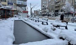 Hakkari'de, 284 yerleşim yerinin yolu kardan kapandı