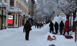 Bugün, 'İsveç'te son 25 yılın ocak ayındaki en soğuk günü' olarak kayda geçti